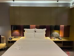 -南京禄口机场雅高铂尔曼大酒店