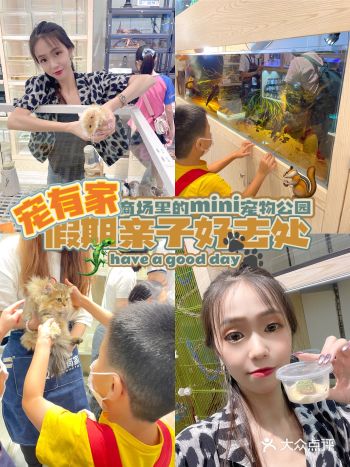 商场里的mini宠物公园｜宠有家