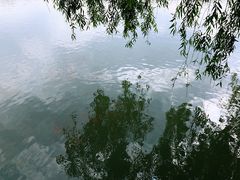 -达活泉公园