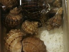 -发记平价海鲜美食(花生寮店)