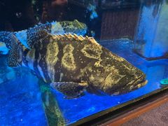 -稻香(第一国际店)