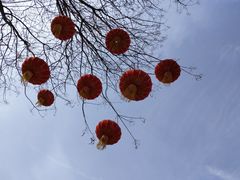 -河北省园博园