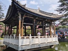 -巍山古城