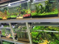 -三旗百汇商品城