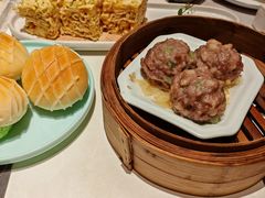 -新兴·金羊座·粤菜点心(乐峰店)