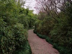 -长广溪湿地公园