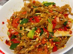 鸭掌筋-壹盏灯(惠农店)
