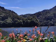 -广州市石门国家森林公园