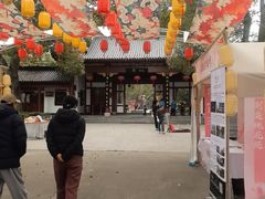 -南汇桃花村