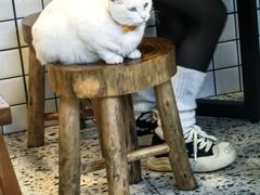 -春阳水饺(香槟广场店)