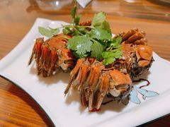 -呼吸森林·生态农庄农家乐私房菜