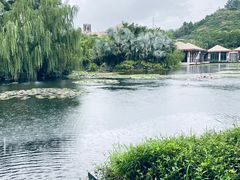 -广州都喜泰丽温泉度假酒店
