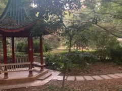 -轻苑小区