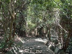 -东莞市大岭山森林公园