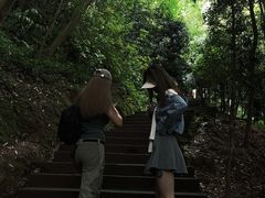 -凤栖山
