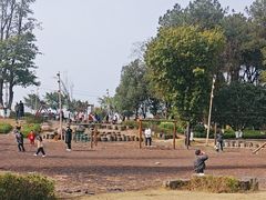 -铁山坪森林公园