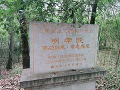 -紫金山山顶公园