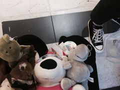 -PAWTOY爪e玩偶店(天兴罗斯福店)