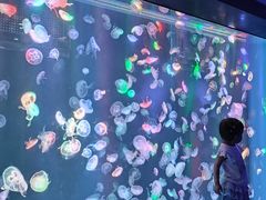 -海合安成都极地海洋公园