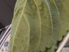 -揽月斋炙子烤肉·清真(安定门·五道营店)