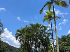 -孔雀湖生态旅游区