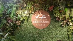-小熊维尼高端儿童摄影(南山店)