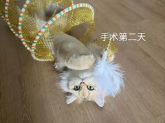 -良伴无忧宠物医院(泰欣嘉园店)
