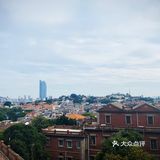 八元钱往返的船票,真的太划算了