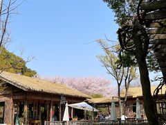 -苏州上方山国家森林公园