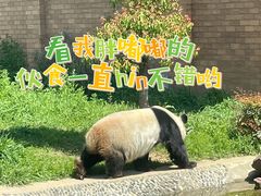 -苏州太湖国家湿地公园