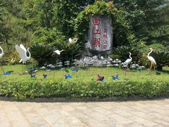 -广州白江湖森林公园