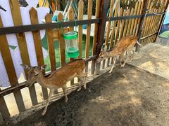 -扬州瘦西湖温泉