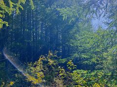 -苏木山森林公园