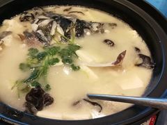 -老淳安—伴山伴湖(千岛湖开元度假村店)
