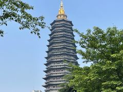 -红梅公园