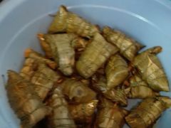 -金太粽(上海弄堂第一粽店)