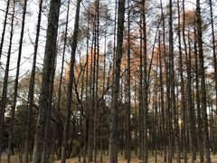 -长春市南湖公园