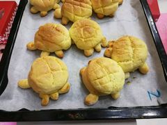 -咖咖熊蛋糕定制·蓝风车动物奶油