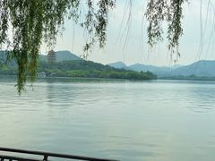 -柳莺湖上·湖景餐厅·江南菜(西湖店)