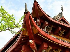 -铁山坪森林公园