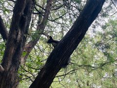 -北京植物园南门售票处