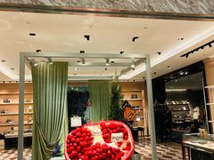 -Gucci(青岛海信广场店)