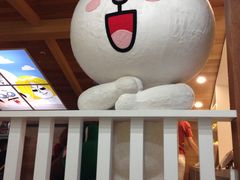 -line friends(明洞旗舰店)