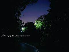 -杭州半山国家森林公园