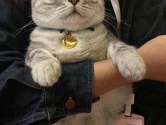 -H立方实景剧情密室(天河旗舰店)