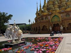 -西双版纳勐泐文化旅游区