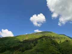 -宫鼎茶(安顺八店)
