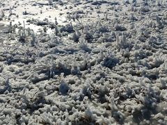 -华彬猛犸滑雪场