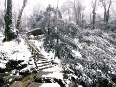 -龙苍沟森林公园