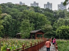 -重庆彩云湖湿地公园
